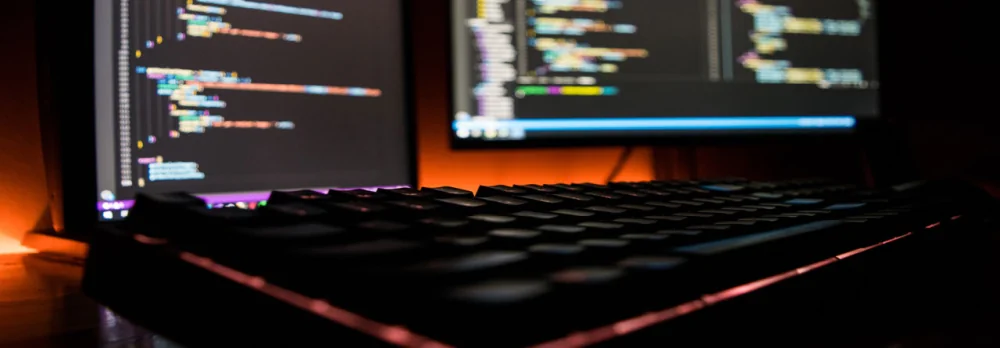 Custom Web Applications by Primal Media, tailored solutions for businesses.